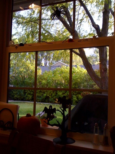 approaching halloween