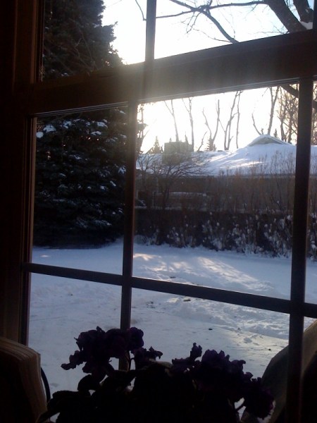 whitiest black friday