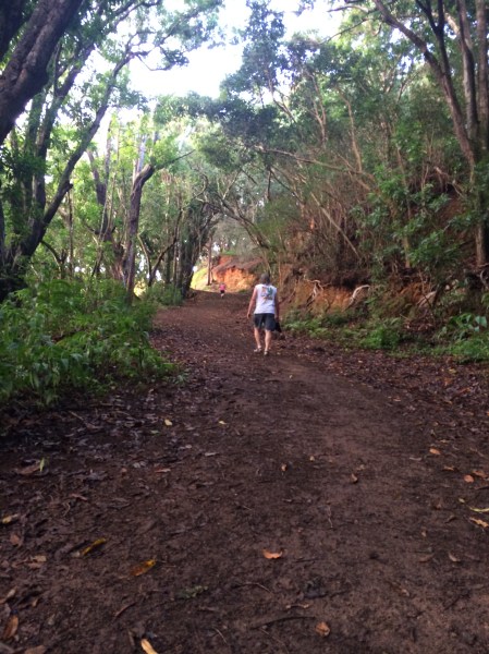 climbing the other half - back to the top