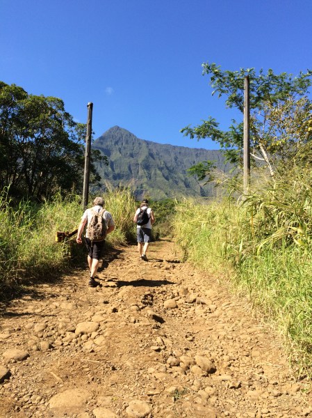 Entering Jurassic Park