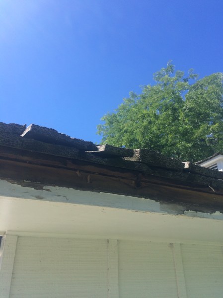 the original 1966 shakes