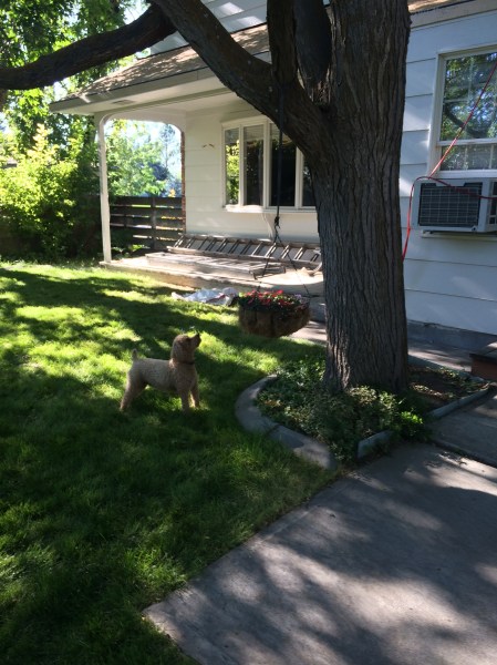 "Hey, I can hammer!"