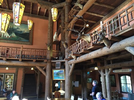 Eric gazing up at the beams in the front lobby 
