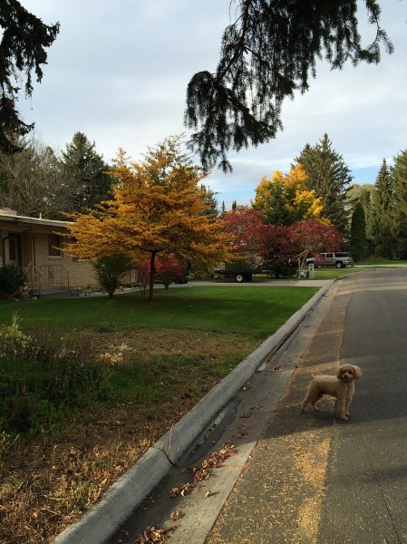 What, another photo?