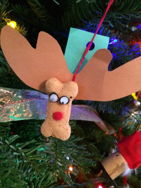 How has the dog missed the treat hanging on the tree all these years? 