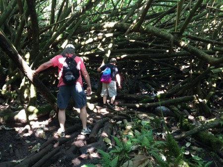 Just add rain to make this really fun