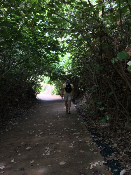 Walking back to car now