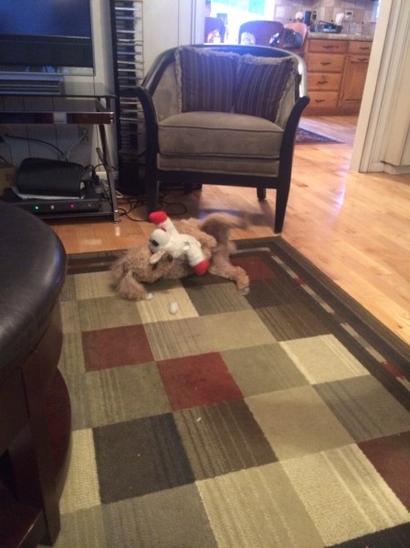 Making a mess in the house too