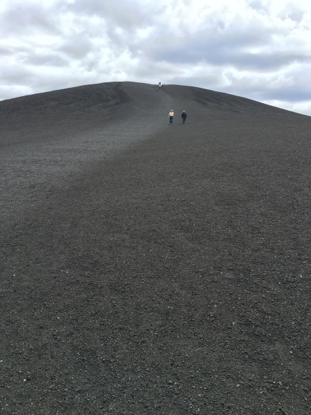 Where's the spring foliage?