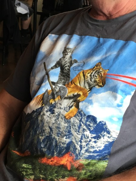 Grey tabby cat riding a Bengal tiger with  x-ray vision handling a two-headed axe leaping away from a raging forest fire under snow covered peaks .... Wuh?
