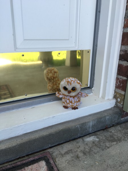 Winslow's scratched up eyes make her spookier!