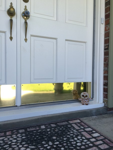 Winslow saves the day