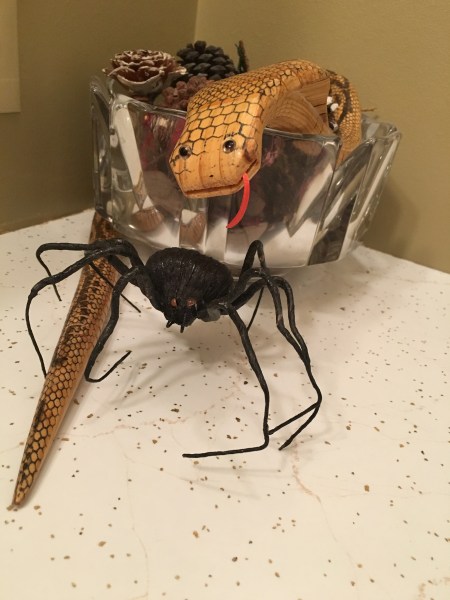 Herbert makes a friend