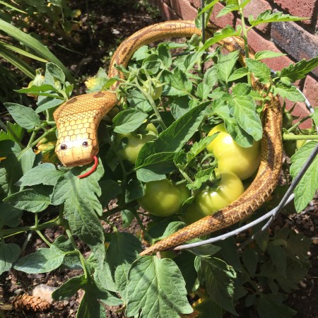 Herbert finds a new calling