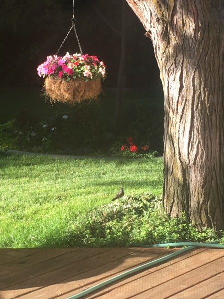 Get the circulation going!