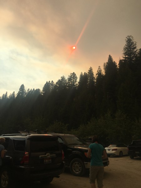 Check out the sun, Megan!