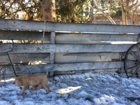 Problem solved ... for now...